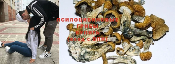 соль ск Абдулино