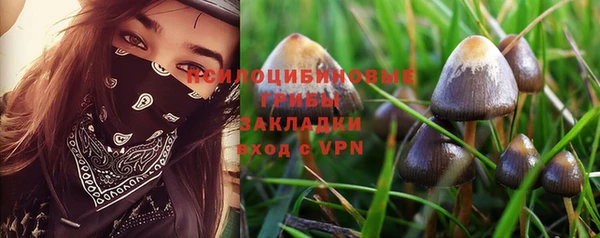 apvp Абинск