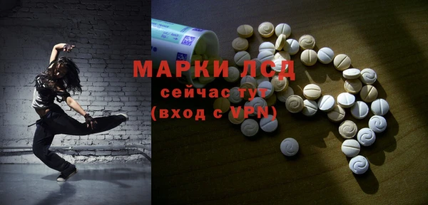 ECSTASY Калининец