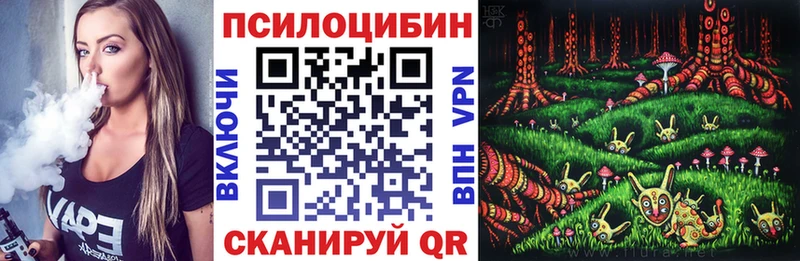 Галлюциногенные грибы Magic Shrooms продажа наркотиков Великий Новгород