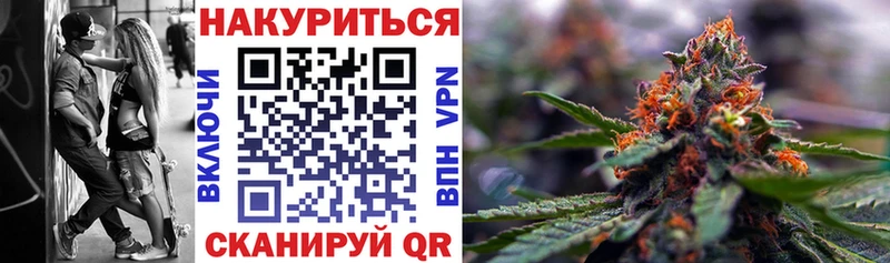 где найти наркотики  Великий Новгород  Бошки марихуана SATIVA & INDICA 